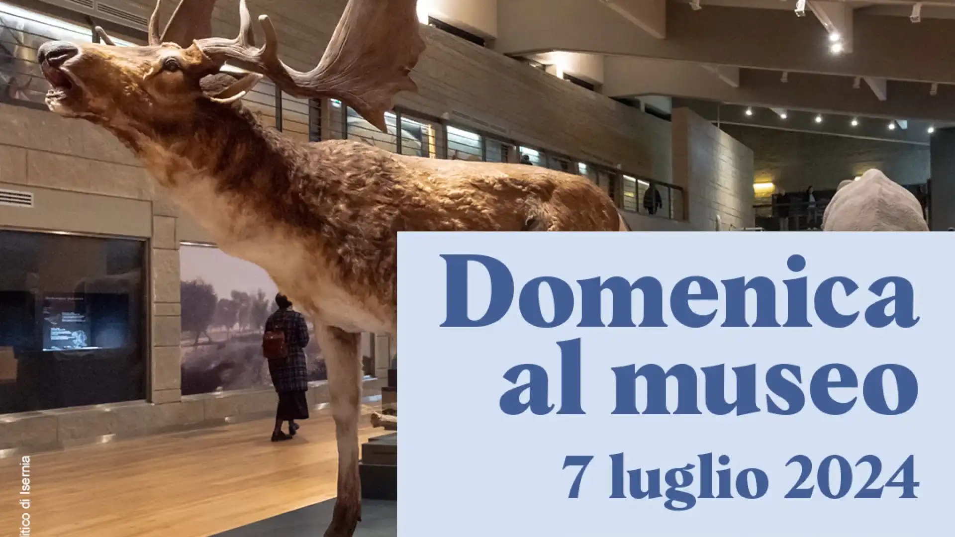 Domenica al museo 7 luglio 2024, nei luoghi della cultura statali in Molise